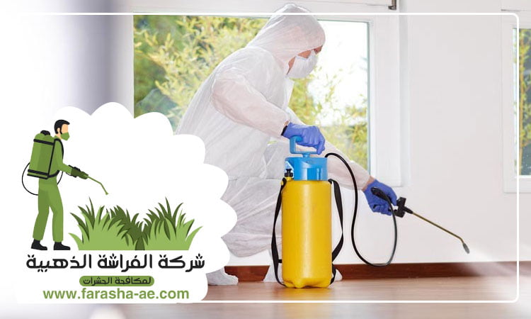 افضل شركة مكافحة حشرات في الإمارات