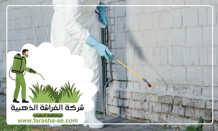 مكافحة الصراصير في أم القيوين