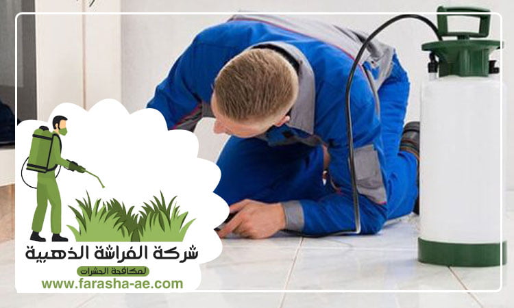 مكافحة بق الفراش في الشارقة
