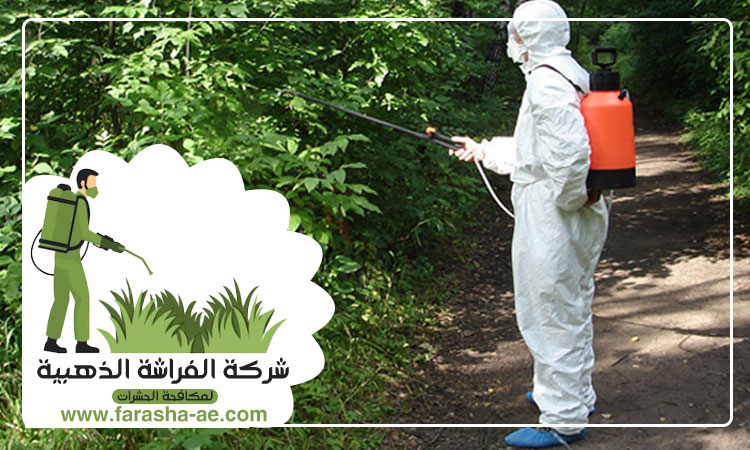 شركة مكافحة الثعابين في دبي