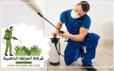 شركة مكافحة الرمة في أبوظبي مكافحة جميع أنواع الحشرات5 (2)