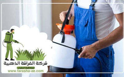 شركة مكافحة حشرات أم سقيم دبي0 (0)