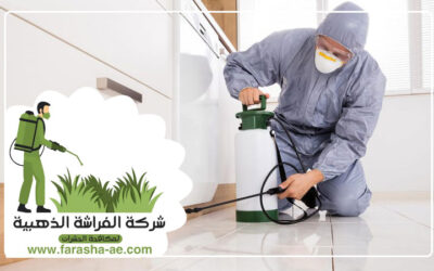 شركة مكافحة حشرات في عجمان0 (0)