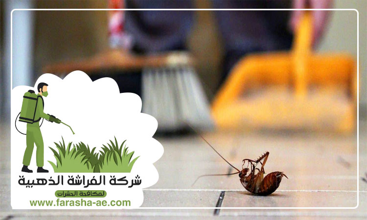 مكافحة الصراصير في الشارقة