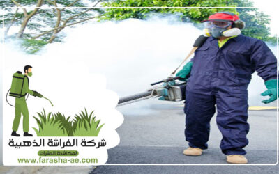 شركة مكافحة حشرات في دبي5 (1)