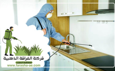 مكافحة الصراصير في العين