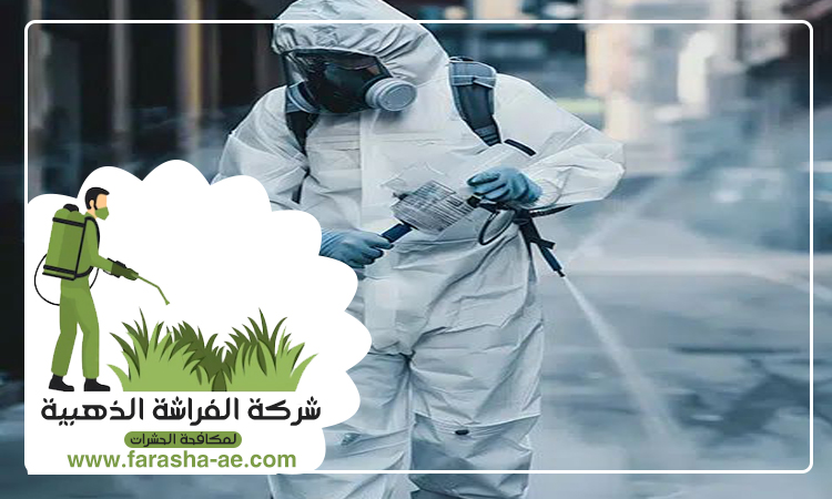 مكافحة حشرات في كلباء