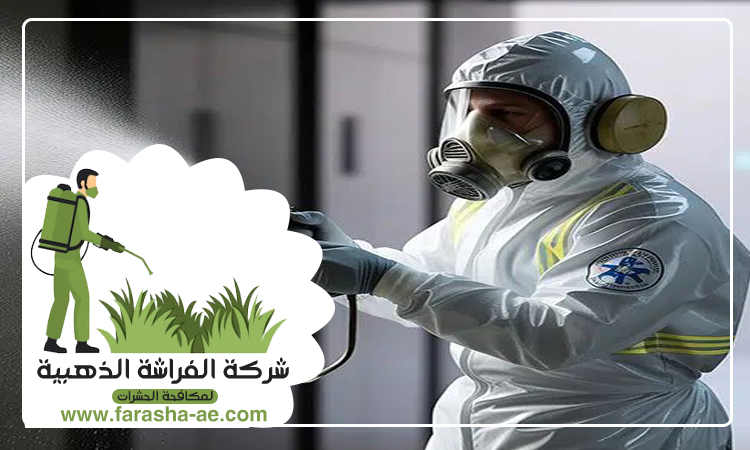 مكافحة حشرات في كلباء الشارقة 3 مكافحة حشرات في كلباء الشارقة