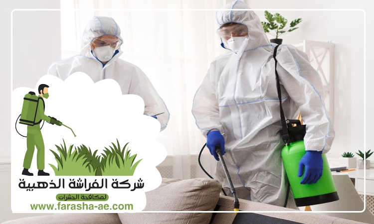 شركة مكافحة حشرات في الذيد 3 شركة مكافحة حشرات في الذيد