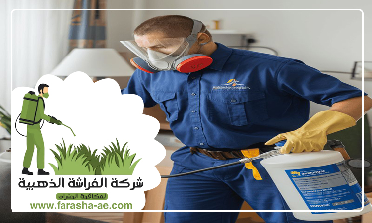 شركة مكافحة حشرات في الذيد 4 شركة مكافحة حشرات في الذيد