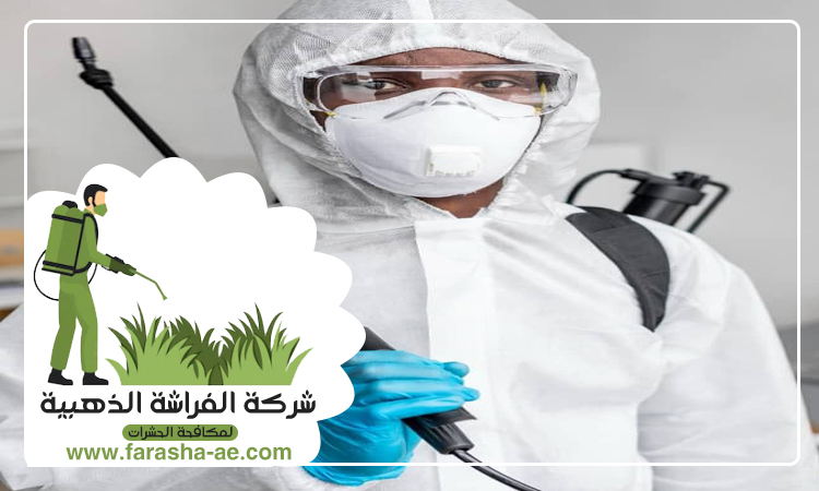 شركة مكافحة حشرات في دبي 7 شركة مكافحة حشرات في دبي