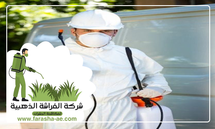 شركة مكافحة حشرات في دبي 3 شركة مكافحة حشرات في دبي