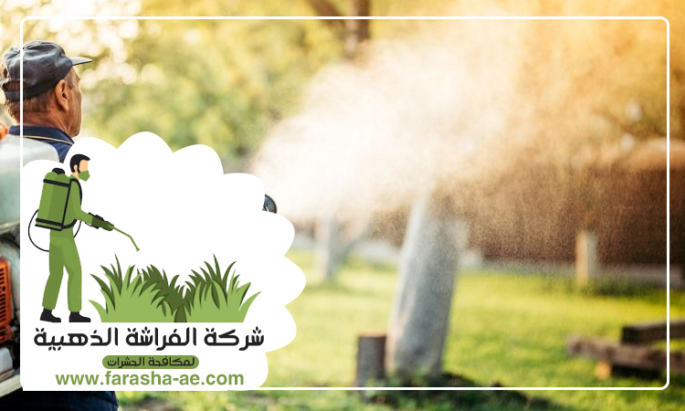شركة مكافحة حشرات في دبي 4 شركة مكافحة حشرات في دبي
