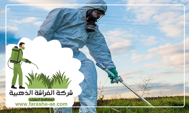 شركة مكافحة حشرات في دبي 5 شركة مكافحة حشرات في دبي