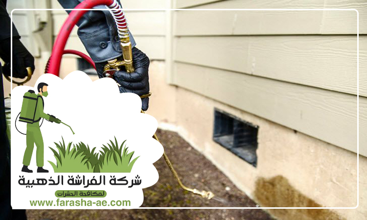 مكافحة حشرات في كلباء