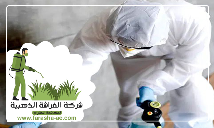 افضل شركة مكافحة حشرات في الإمارات 4 افضل شركة مكافحة حشرات في الإمارات