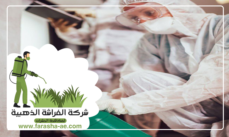 افضل شركة مكافحة حشرات في الإمارات 5 افضل شركة مكافحة حشرات في الإمارات