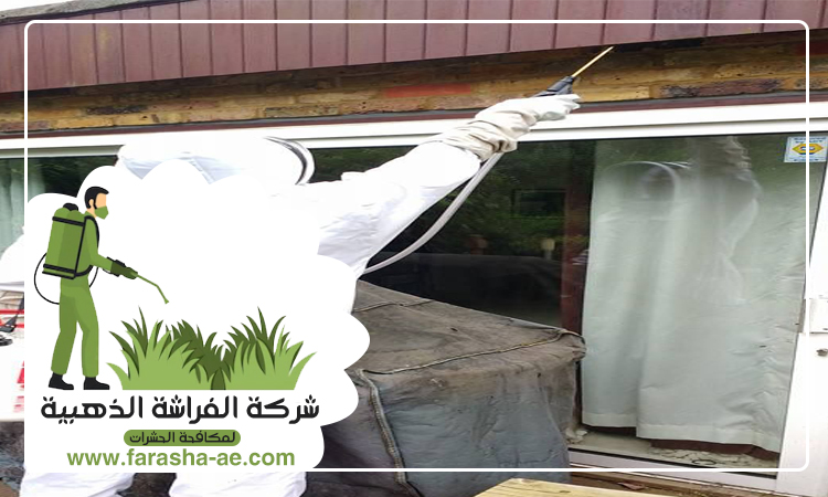أسعار مكافحة حشرات بالشركة في جميع الامارات 6 أسعار مكافحة حشرات بالشركة في جميع الامارات
