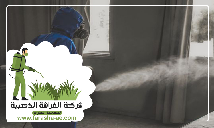 أسعار مكافحة حشرات بالشركة في جميع الامارات 3 أسعار مكافحة حشرات بالشركة في جميع الامارات