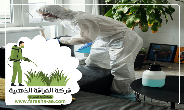 أسعار مكافحة حشرات بالشركة في جميع الامارات 4 أسعار مكافحة حشرات بالشركة في جميع الامارات