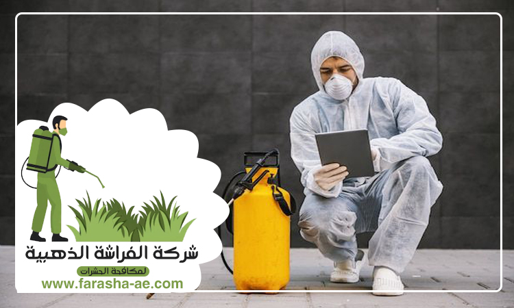 أسعار مكافحة حشرات بالشركة في جميع الامارات 5 أسعار مكافحة حشرات بالشركة في جميع الامارات