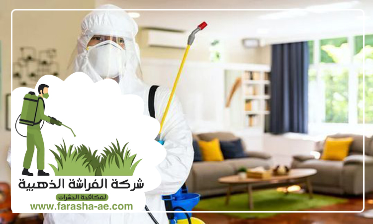 مكافحة بق الفراش في ام القيوين