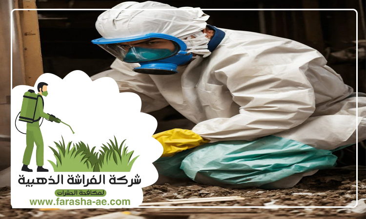 مكافحة الرمة في رأس الخيمة