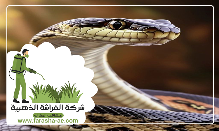 شركة مكافحة الثعابين في البحيرات