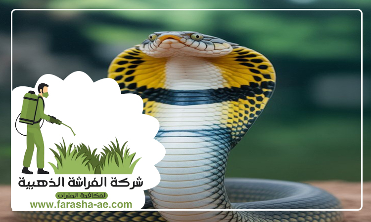 شركة مكافحة الثعابين في البحيرات