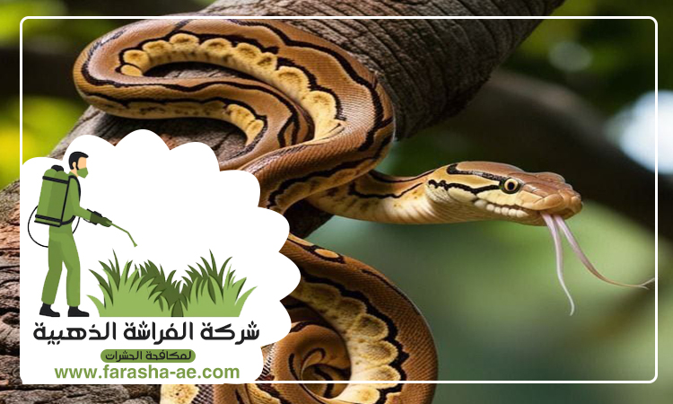 شركة مكافحة الثعابين في البحيرات