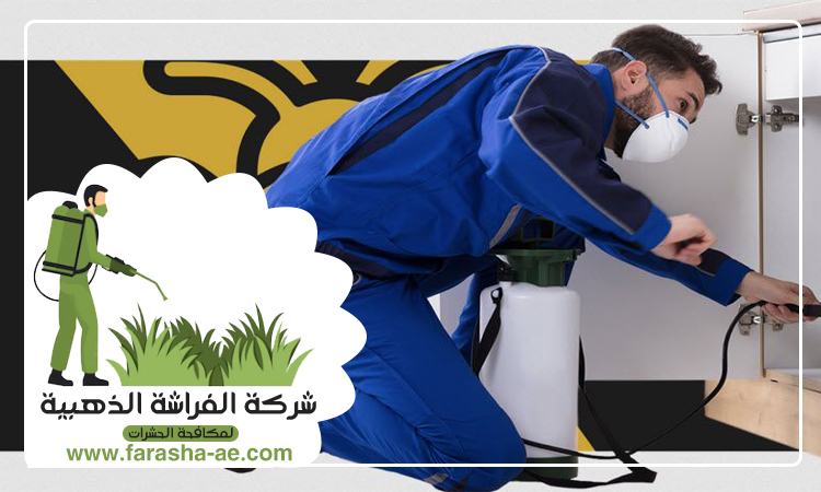 شركة مكافحة حشرات في المزهر 5 شركة مكافحة حشرات في المزهر