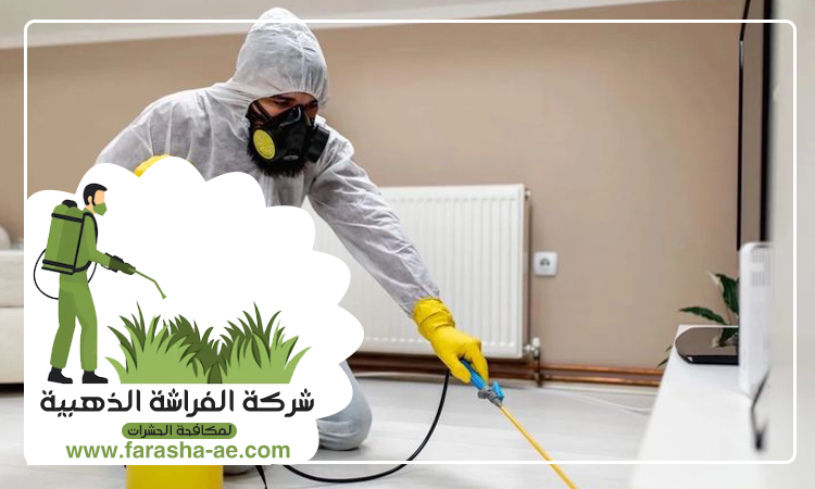 شركة مكافحة حشرات في البطين 3 شركة مكافحة حشرات في البطين