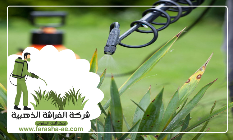 شركة مكافحة حشرات في البطين 4 شركة مكافحة حشرات في البطين