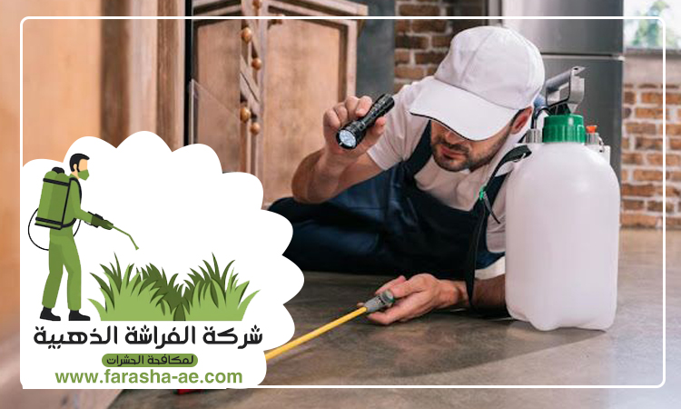 شركة مكافحة حشرات في البطين 5 شركة مكافحة حشرات في البطين