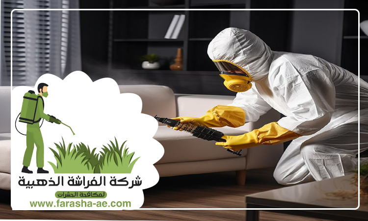 شركة مكافحة الصراصير في دبي 5 شركة مكافحة الصراصير في دبي