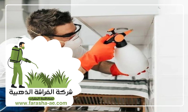 شركة تنظيف نجف في الشارقة