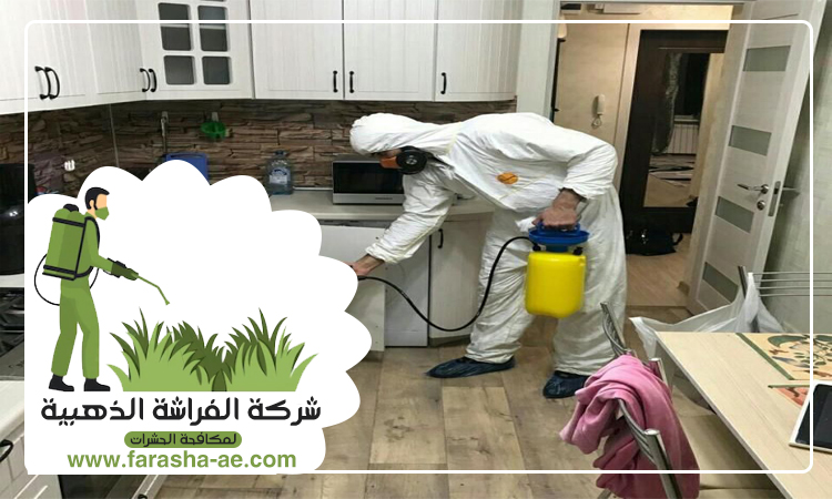 شركة مكافحة حشرات في البليدة