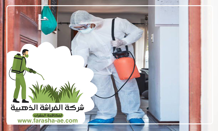 شركة مكافحة حشرات في البدية