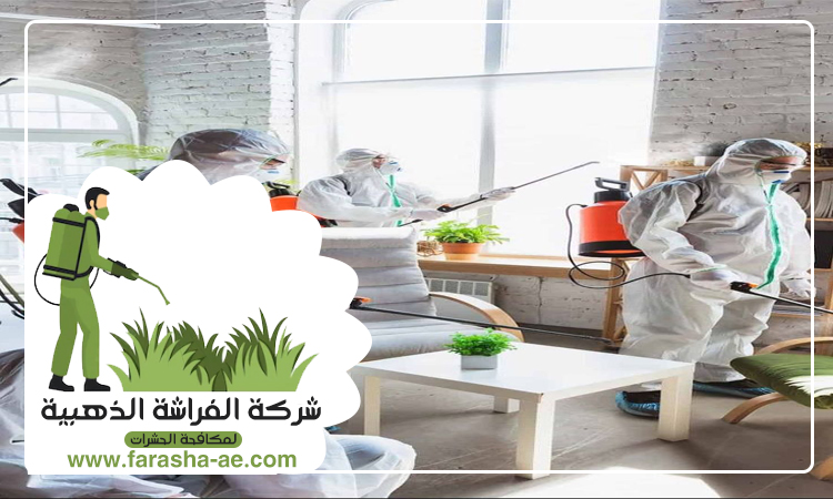 شركة مكافحة حشرات في البليدة