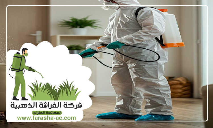 شركة مكافحة حشرات في جروب