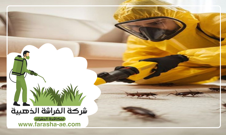شركة مكافحة حشرات في البليدة