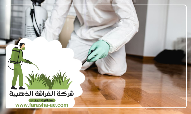 شركة مكافحة حشرات في رول ضدنا