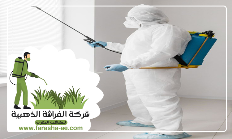 شركة مكافحة حشرات في ثيب