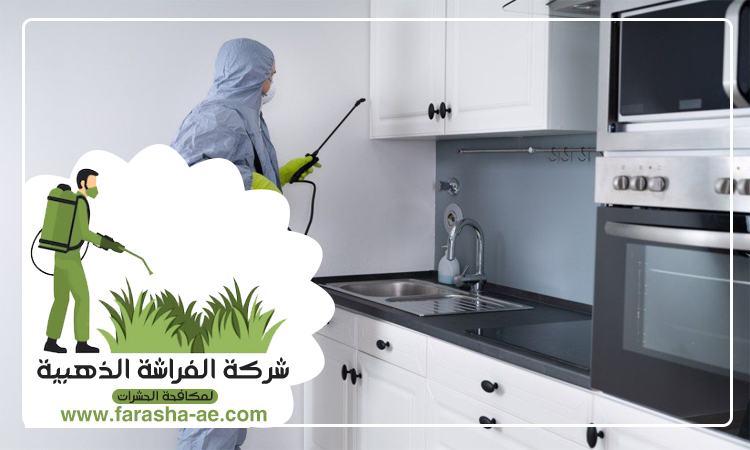 شركة مكافحة حشرات في الطويين