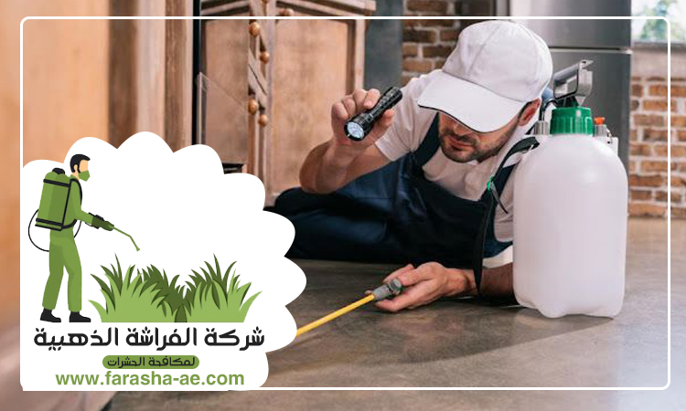 شركة مكافحة حشرات أم سقيم دبي 5 شركة مكافحة حشرات أم سقيم دبي