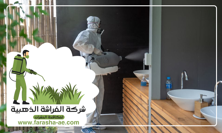 شركة مكافحة حشرات المنخول دبي 2 شركة مكافحة حشرات المنخول
