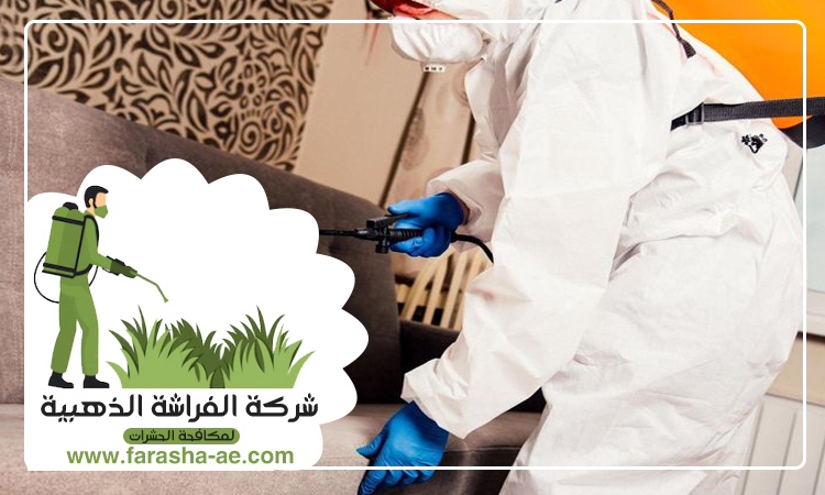 شركة مكافحة حشرات المنخول دبي 3 شركة مكافحة حشرات المنخول دبي