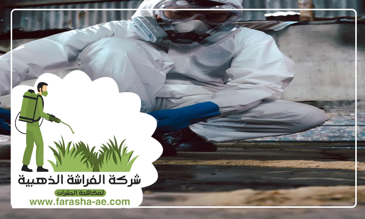 شركة مكافحة حشرات المنخول دبي 4 شركة مكافحة حشرات المنخول دبي