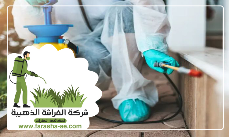 شركة مكافحة حشرات في المزهر 4 شركة مكافحة حشرات في المزهر