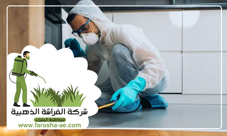 شركة مكافحة الرمة في القرائن 5 شركة مكافحة الرمة في القرائن
